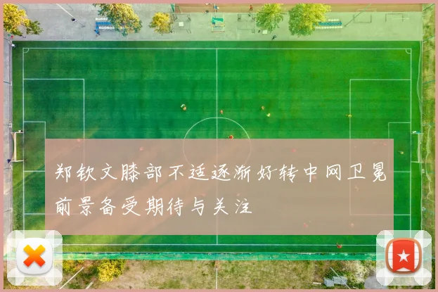 郑钦文膝部不适逐渐好转中网卫冕前景备受期待与关注